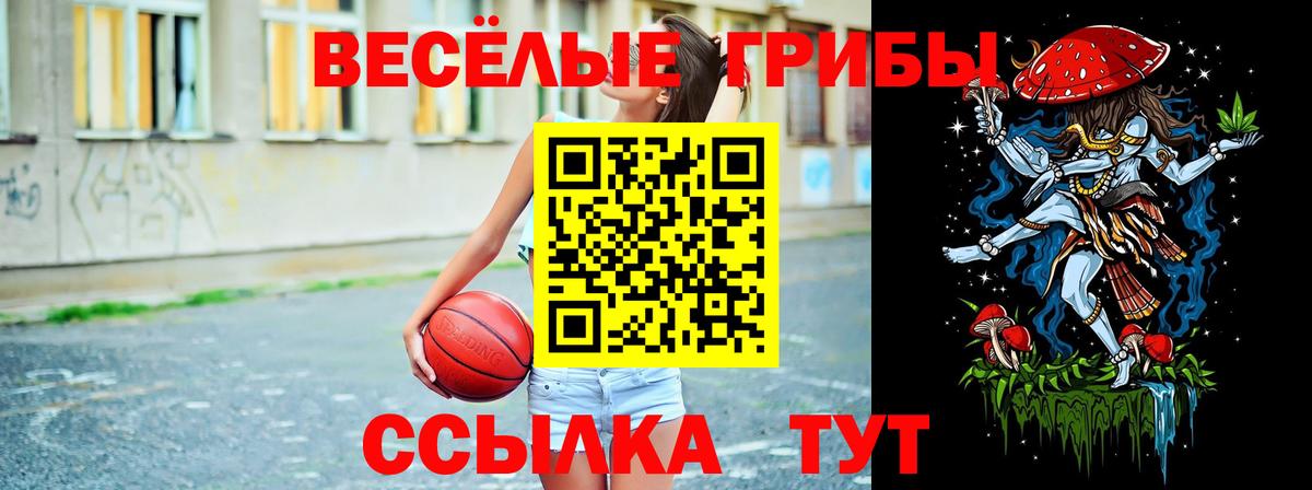 Псилоцибиновые грибы Cubensis  Вход с VPN  Ханты-Мансийск  Галлюциногенные грибы Psilocybe 